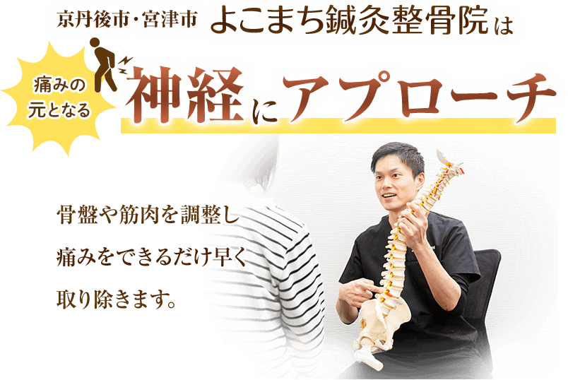京丹後市・宮津市 よこまち鍼灸整骨院は 痛みの元となる神経にアプローチします