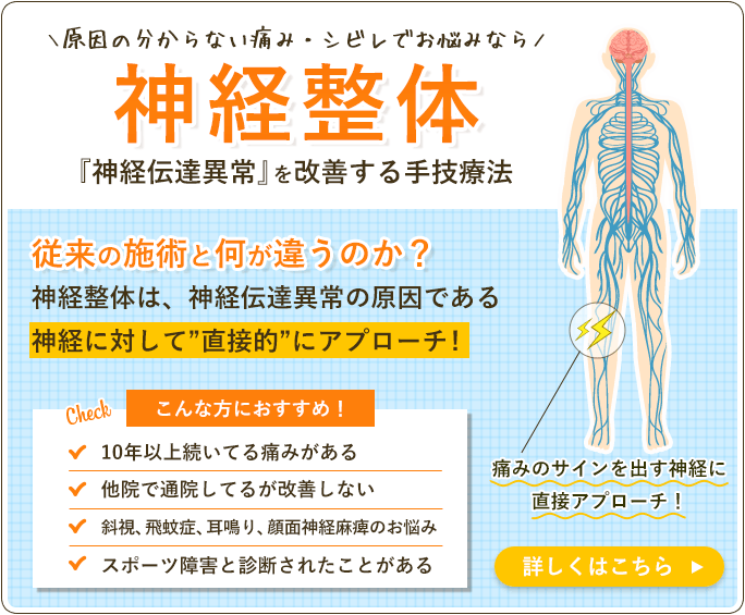 京丹後市 宮津市 よこまち鍼灸整骨院 | 骨盤矯正・鍼灸・深層筋調整で