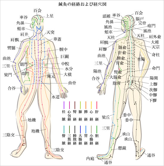 与謝野町の鍼灸の図